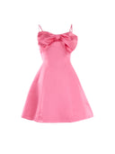 Denali Mini Dress