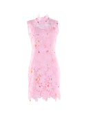 Embroidered Mini Dress