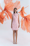 Embroidered Mini Dress