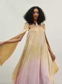 The Gold Plate Spectrum Dress