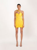 Flora Embellished Mini Dress