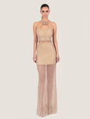 Gold Embellished Lace Top