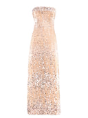 Champagne Sequin Dress