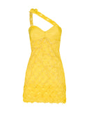 Flora Embellished Mini Dress
