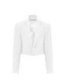 Boxy Satin Cropped Jacket