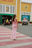 Sari Blush Pink Maxi Dress